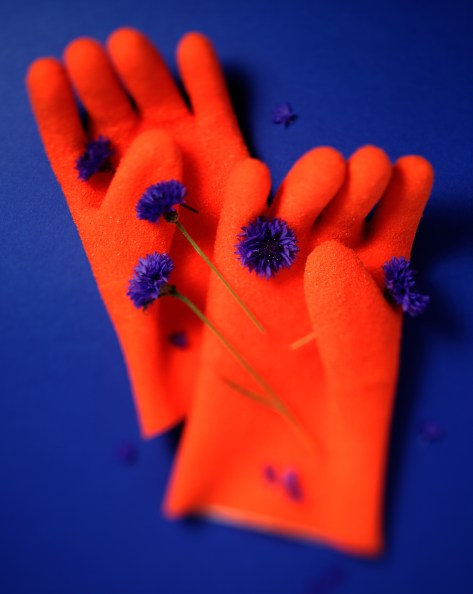 Fotograf Per-Erik Berglund  Znapshot AB Tel. 46-8-654 38 88 www.znapshot.se