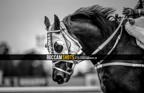 d340039959-PORTFOLIO_015