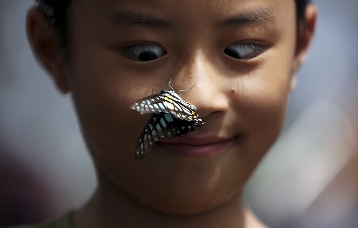 A butterfly perches on a boy’s face at a butterfly exhibition Photograph: China Stringer Network/Reuters