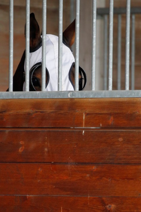 © Per Erik Berglund_MG_6733