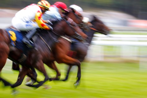 © Per Erik Berglund_MG_6898