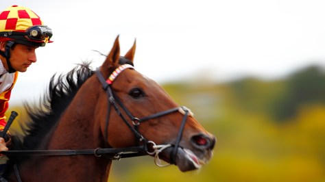 © Per Erik Berglund_MG_6928