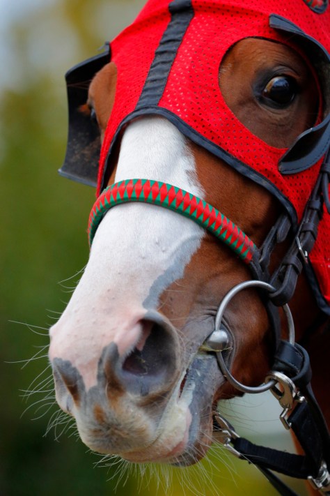 © Per Erik Berglund_MG_7063