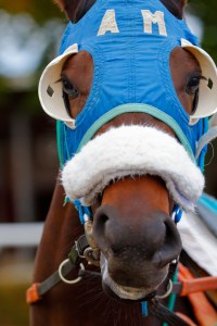 © Per Erik Berglund_MG_7114