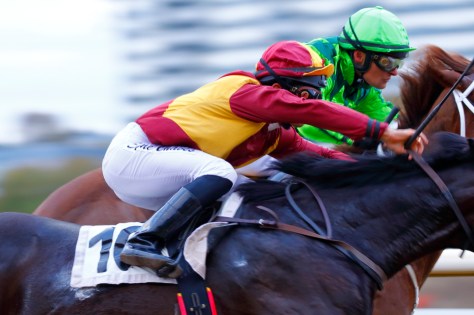 © Per Erik Berglund_MG_7163