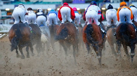 © Per Erik Berglund_MG_7300