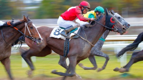 © Per Erik Berglund_MG_7339