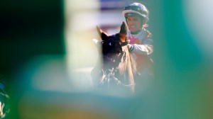 © Per Erik Berglund_MG_7684