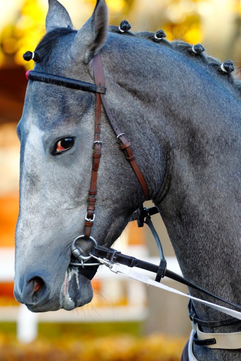 © Per Erik Berglund_MG_7805