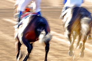 © Per Erik Berglund_MG_7892