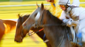 © Per Erik Berglund_MG_8062