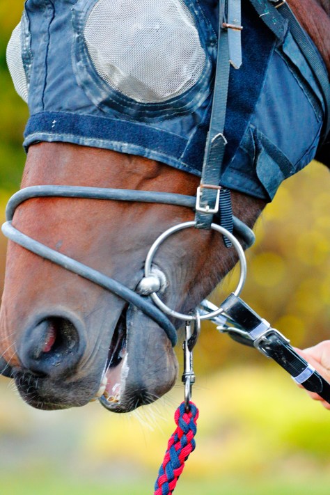 © Per Erik Berglund_MG_8107