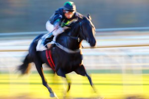 © Per Erik Berglund_MG_8166