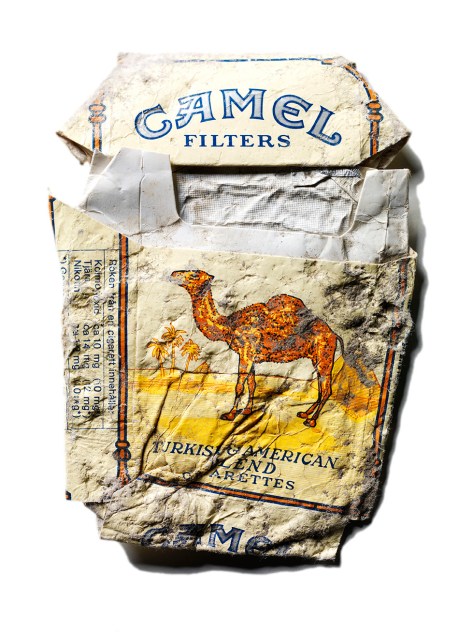 Camel