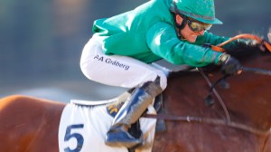 © Per Erik Berglund_MG_7430