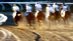 © Per Erik Berglund_MG_8031