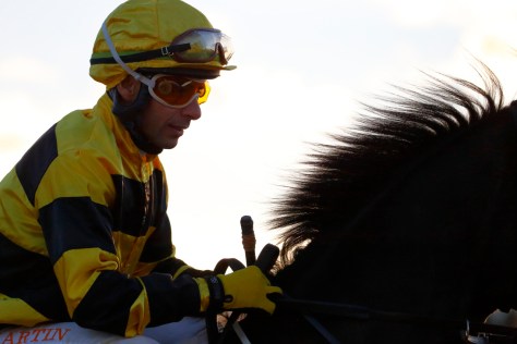 © Per Erik Berglund_MG_8132