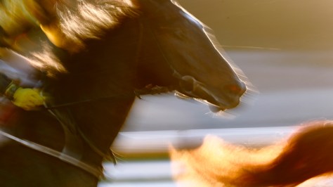 © Per Erik Berglund_MG_8179