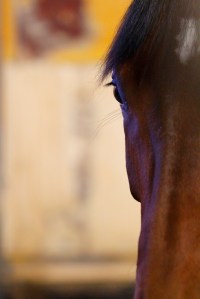 © Per Erik Berglund_Znapshot _MG_0320