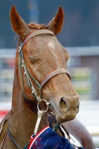 © Per Erik Berglund_Znapshot _MG_0980