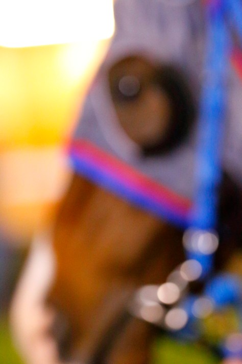 © Per Erik Berglund_Znapshot _MG_8501