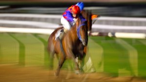 © Per Erik Berglund_Znapshot _MG_9396