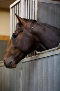 © Per Erik Berglund_Znapshot _Q1B7366