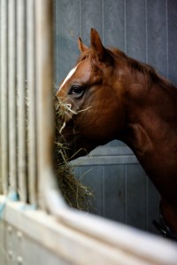 © Per Erik Berglund_Znapshot _Q1B7396