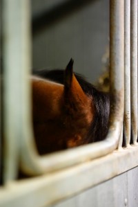 © Per Erik Berglund_Znapshot _Q1B7479