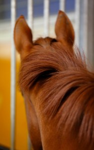 © Per Erik Berglund_Znapshot _Q1B7539