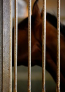 © Per Erik Berglund_Znapshot _Q1B7550