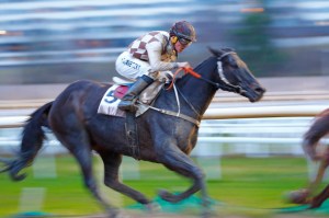 _© Znapshot P E Berglund__MG_2119