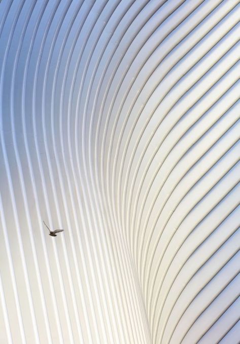 _95051525_huftonandcrow_sc_oculus_medium