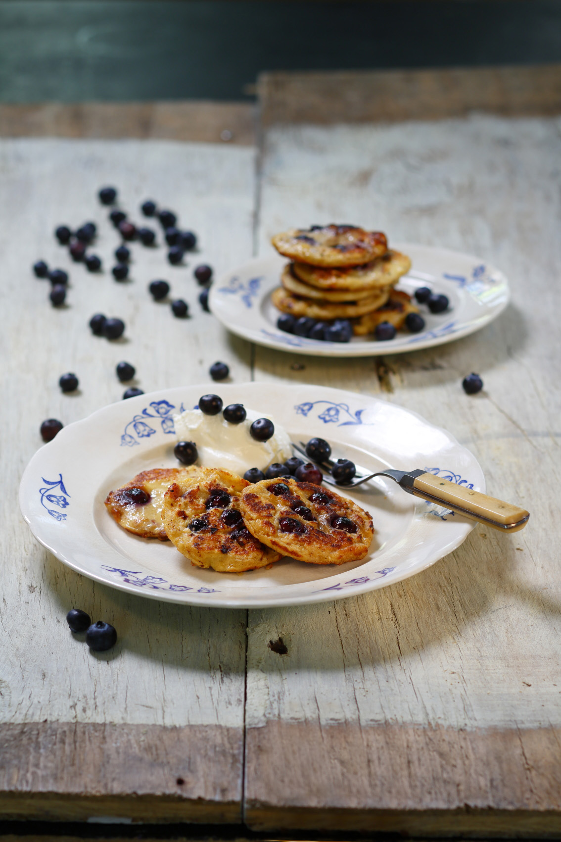 Hälsoplättar_IMG__03445